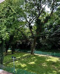 tiong-bahru-estate photo thumbnail #1